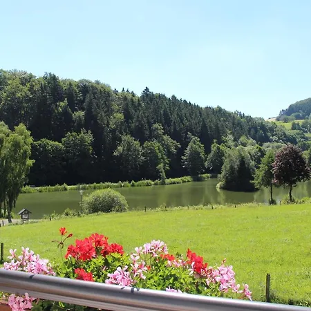 Haus Am Stryckpark Виллинген