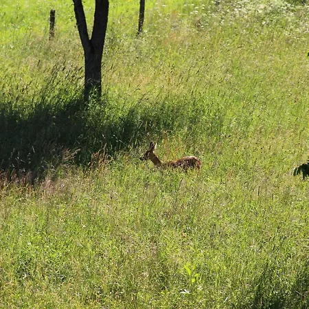 公寓 Haus Am Stryckpark *